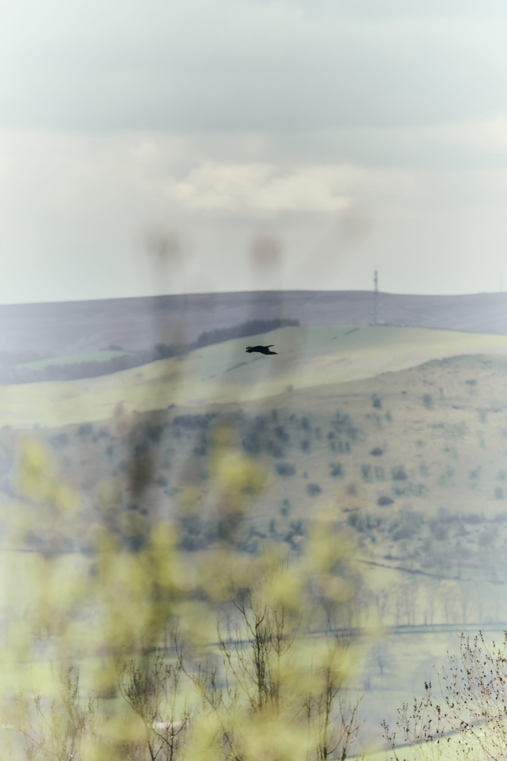 HOKA_NOWHERE_STORE_SATURDAY_HIGH 148